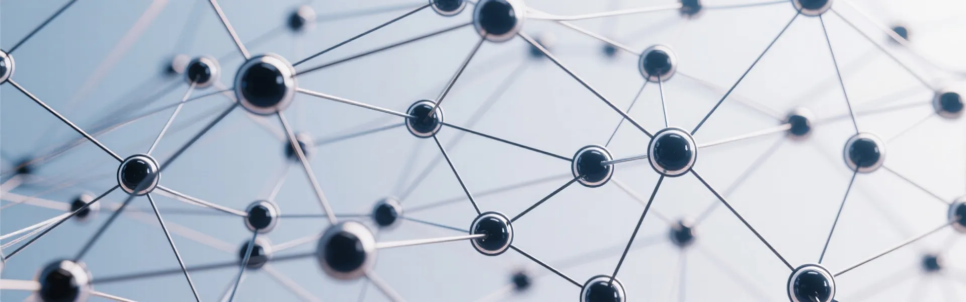 Network Background